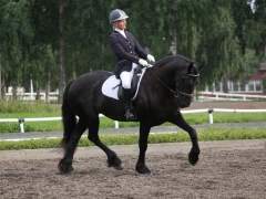 Minna & Goudsje